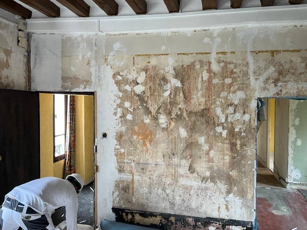 Rénovation hotel particulier LOUVECIENNES - cdda4437-e466-42ea-a027-ff5aca53f7a5